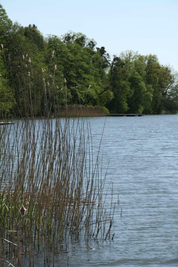 Lake View Apartamenty Brodnica  Extérieur photo