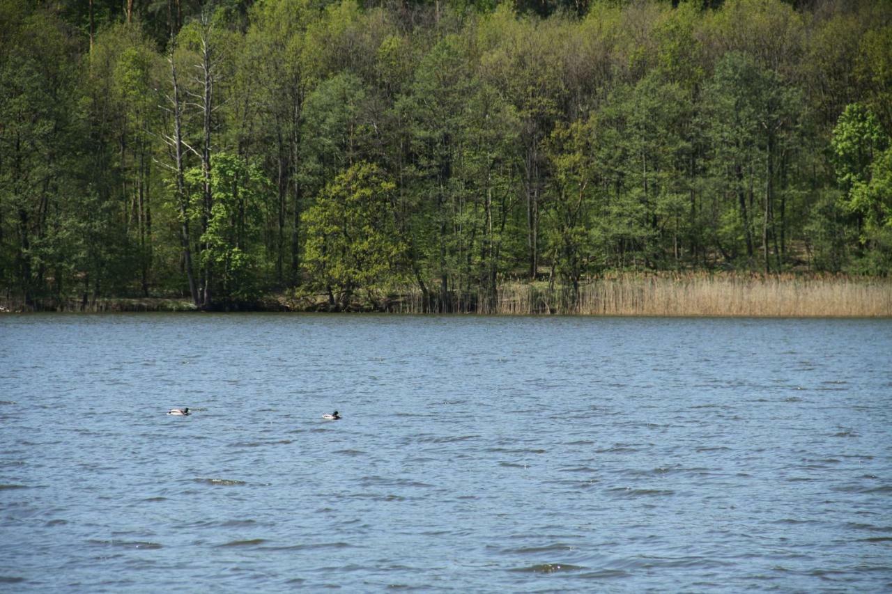 Lake View Apartamenty Brodnica  Extérieur photo